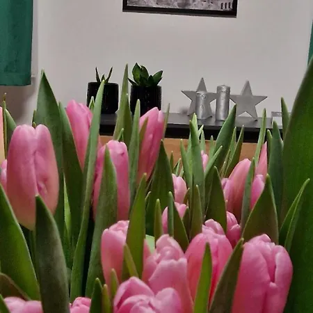 Z Dusza アパート