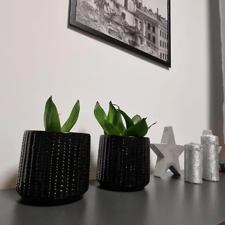 Appartement Z Dusza Kłodzko