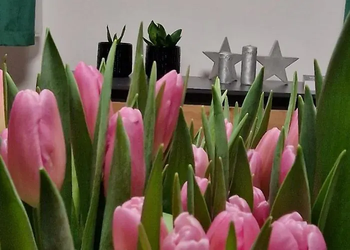 Z Dusza アパート