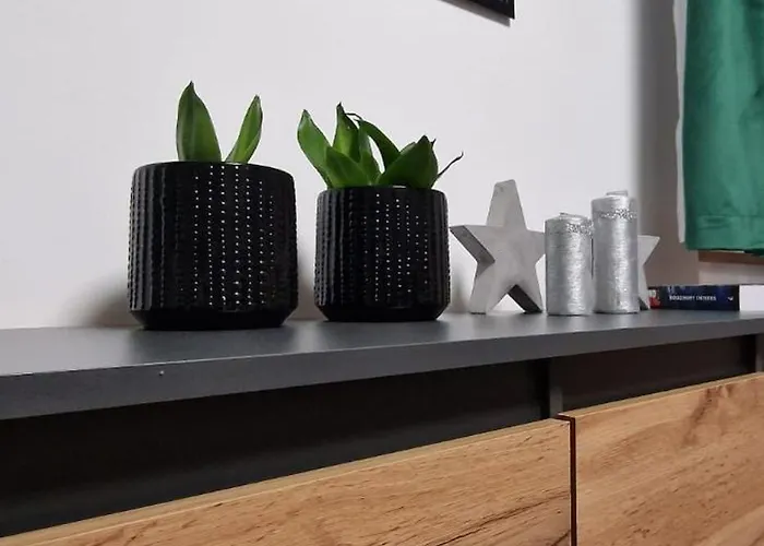 Z Dusza アパート *