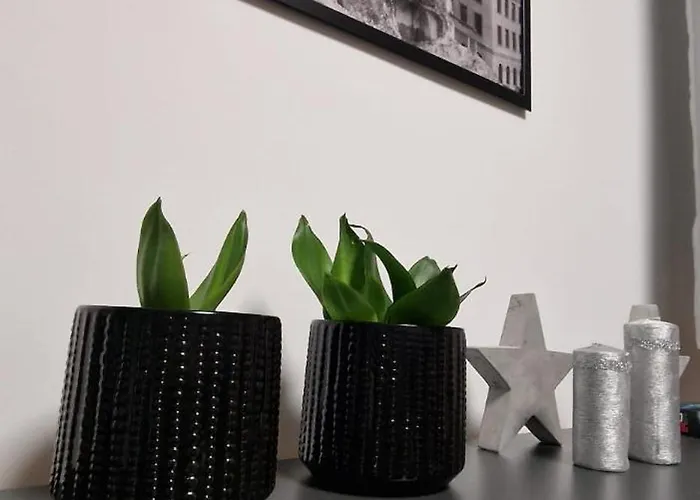 アパート Z Dusza クウォツコ